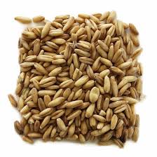 AVENA EN GRANO 25kg TURRUCARES - Imagen principal