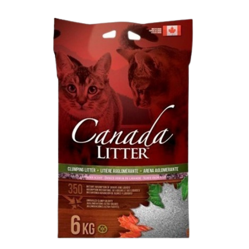 Arena Gato canada litter 6kg - Imagen principal