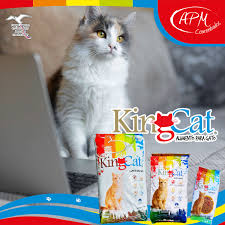 King Cat AD 30Kg - Imagen principal