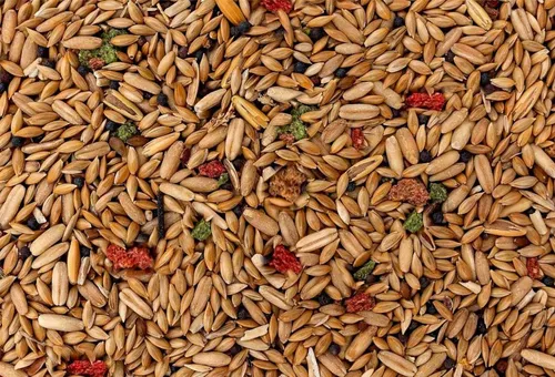 MEZCLA PARA CANARIOS 1kg