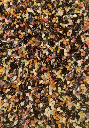 MEZCLA PARA CANTO - Imagen principal