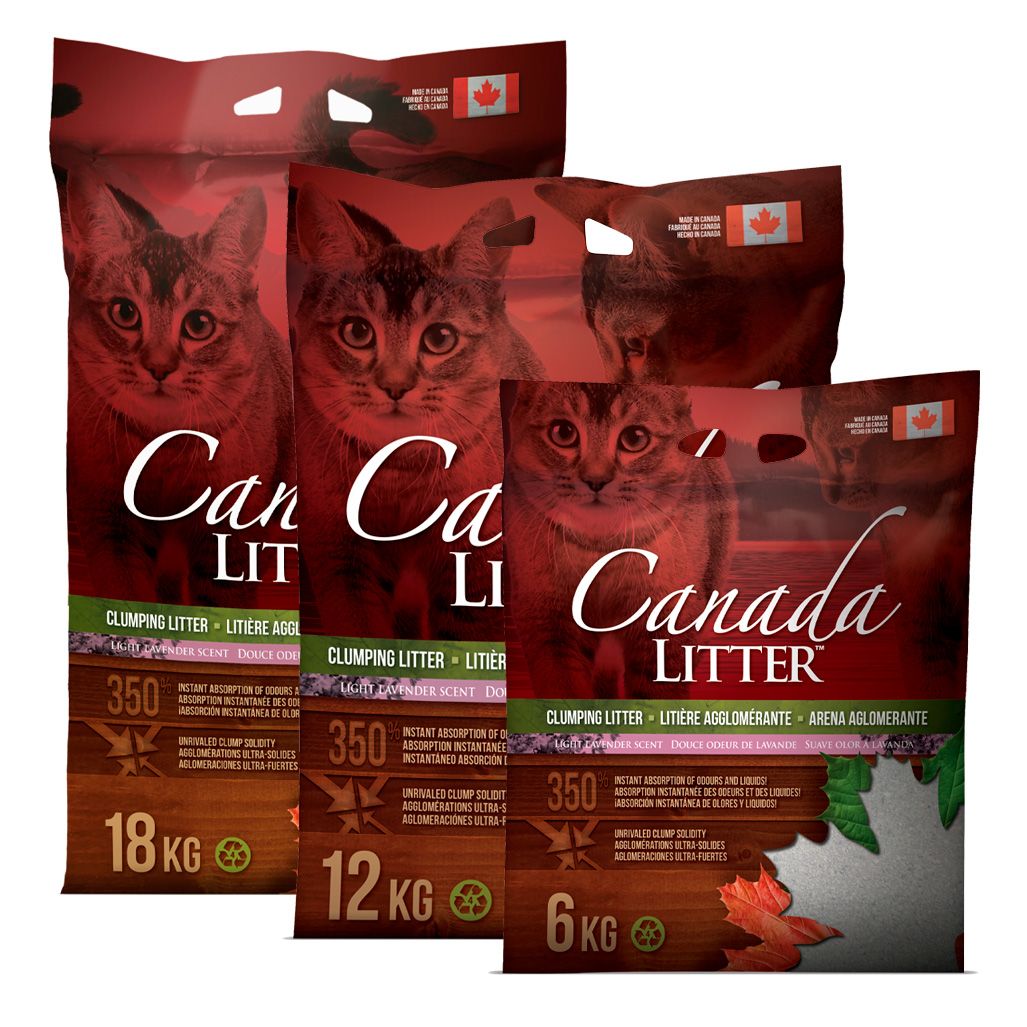 Arena para gato Canadiense  bebe 6Kg - Imagen principal